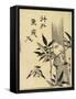 Sparrows on Bamboo Branch, C. 1781-1806-Kitagawa Utamaro-Framed Stretched Canvas