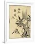 Sparrows on Bamboo Branch, C. 1781-1806-Kitagawa Utamaro-Framed Giclee Print