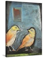 Sparrows-Tim Nyberg-Stretched Canvas