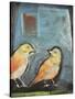 Sparrows-Tim Nyberg-Stretched Canvas