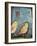 Sparrows-Tim Nyberg-Framed Giclee Print