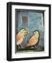 Sparrows-Tim Nyberg-Framed Premium Giclee Print