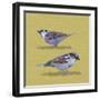 Sparrows-Franco Caballero-Framed Giclee Print