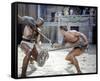Spartacus-null-Framed Stretched Canvas