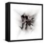 spatial expansion-Gilbert Claes-Framed Stretched Canvas