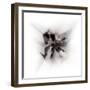spatial expansion-Gilbert Claes-Framed Photographic Print