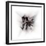 spatial expansion-Gilbert Claes-Framed Photographic Print