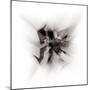 spatial expansion-Gilbert Claes-Mounted Photographic Print