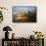 Spawning Chum Salmon in Alaska-null-Framed Stretched Canvas displayed on a wall