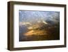 Spawning Chum Salmon in Alaska-null-Framed Photographic Print