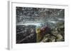 Spawning Red Salmon, Katmai National Park, Alaska-Paul Souders-Framed Photographic Print