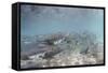 Spawning Salmon at Kinak Bay in Katmai National Park-Paul Souders-Framed Stretched Canvas