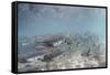 Spawning Salmon at Kinak Bay in Katmai National Park-Paul Souders-Framed Stretched Canvas