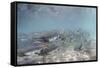 Spawning Salmon at Kinak Bay in Katmai National Park-Paul Souders-Framed Stretched Canvas