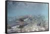 Spawning Salmon at Kinak Bay in Katmai National Park-Paul Souders-Framed Stretched Canvas