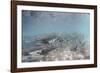 Spawning Salmon at Kinak Bay in Katmai National Park-Paul Souders-Framed Photographic Print