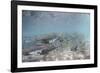 Spawning Salmon at Kinak Bay in Katmai National Park-Paul Souders-Framed Photographic Print