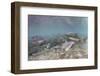 Spawning Salmon at Kinak Bay in Katmai National Park-Paul Souders-Framed Photographic Print