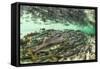 Spawning Salmon, Katmai National Park, Alaska-Paul Souders-Framed Stretched Canvas