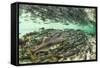 Spawning Salmon, Katmai National Park, Alaska-Paul Souders-Framed Stretched Canvas