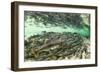 Spawning Salmon, Katmai National Park, Alaska-Paul Souders-Framed Premium Photographic Print