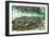 Spawning Salmon, Katmai National Park, Alaska-Paul Souders-Framed Premium Photographic Print