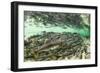 Spawning Salmon, Katmai National Park, Alaska-Paul Souders-Framed Premium Photographic Print