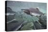 Spawning Salmon, Katmai National Park, Alaska-null-Stretched Canvas