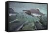 Spawning Salmon, Katmai National Park, Alaska-null-Framed Stretched Canvas