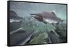 Spawning Salmon, Katmai National Park, Alaska-null-Framed Stretched Canvas