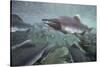 Spawning Salmon, Katmai National Park, Alaska-null-Stretched Canvas