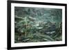 Spawning Salmon, Katmai National Park, Alaska-Paul Souders-Framed Photographic Print