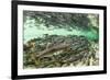 Spawning Salmon, Katmai National Park, Alaska-Paul Souders-Framed Photographic Print