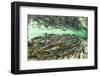 Spawning Salmon, Katmai National Park, Alaska-Paul Souders-Framed Photographic Print