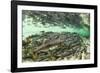 Spawning Salmon, Katmai National Park, Alaska-Paul Souders-Framed Photographic Print