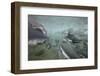 Spawning Salmon, Katmai National Park, Alaska-null-Framed Photographic Print