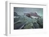 Spawning Salmon, Katmai National Park, Alaska-null-Framed Photographic Print