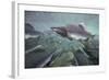 Spawning Salmon, Katmai National Park, Alaska-null-Framed Photographic Print