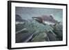 Spawning Salmon, Katmai National Park, Alaska-null-Framed Photographic Print