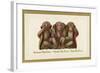 Speak, Hear, See No Evil, Three Monkeys-null-Framed Art Print