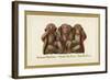 Speak, Hear, See No Evil, Three Monkeys-null-Framed Art Print