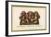 Speak, Hear, See No Evil, Three Monkeys-null-Framed Art Print