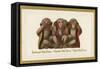 Speak, Hear, See No Evil, Three Monkeys-null-Framed Stretched Canvas