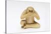 Speak No Evil, One of the Three Wise Monkeys-Japanese School-Stretched Canvas