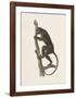 Speak No Evil-The Vintage Collection-Framed Art Print