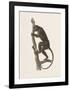 Speak No Evil-The Vintage Collection-Framed Art Print