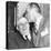 Speaker Sam Rayburn Gets a Kiss on the Head from Senate Majority Leader Lyndon Johnson-null-Stretched Canvas