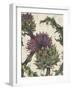 Spear Thistle - Droit-Vicky Oldfield-Framed Giclee Print