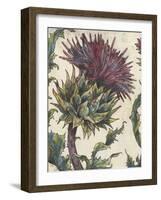 Spear Thistle - Gauche-Vicky Oldfield-Framed Giclee Print