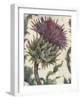 Spear Thistle - Gauche-Vicky Oldfield-Framed Giclee Print